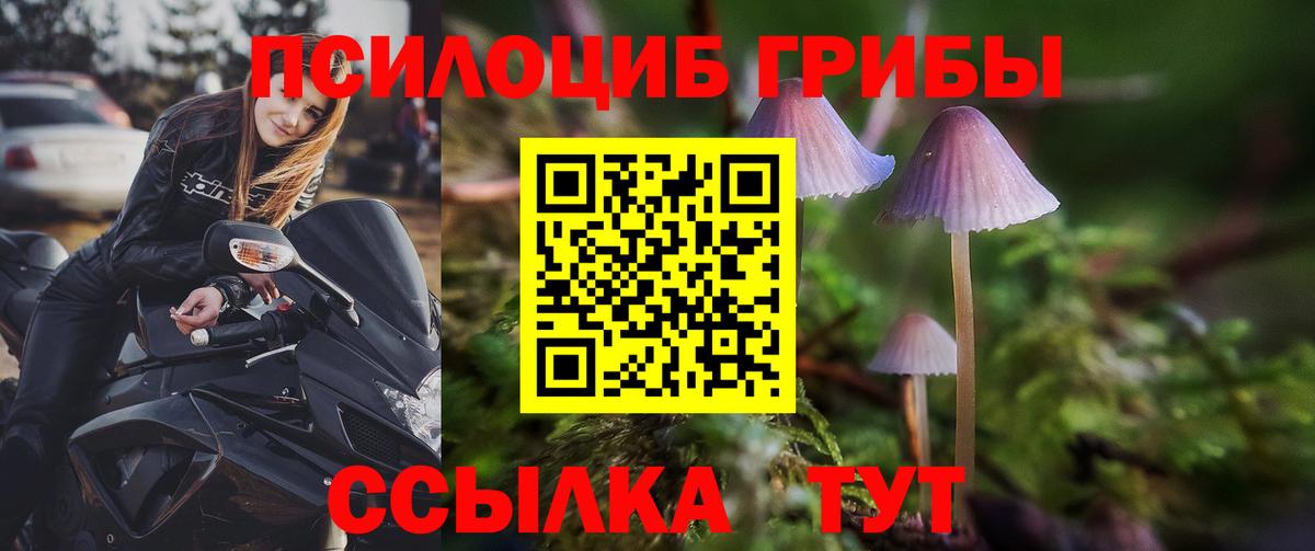 цена наркотик  Галлюциногенные грибы мицелий  Красноярск  Вход с VPN  Галлюциногенные грибы Magic Shrooms 